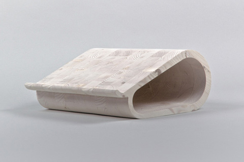 Laptop Rest